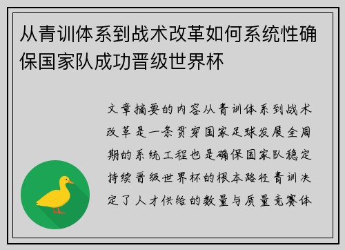 从青训体系到战术改革如何系统性确保国家队成功晋级世界杯 从青训体系到战术改革如何系统性确保国家队成功晋级世界杯